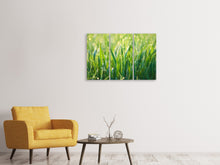 Laden Sie das Bild in den Galerie-Viewer, Leinwandbild 3-teilig Gras mit Morgentau XL