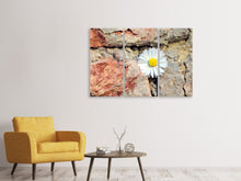 Laden Sie das Bild in den Galerie-Viewer, Leinwandbild 3-teilig Blume in der Wand