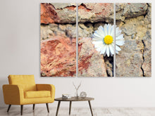 Laden Sie das Bild in den Galerie-Viewer, Leinwandbild 3-teilig Blume in der Wand