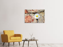 Laden Sie das Bild in den Galerie-Viewer, Leinwandbild 3-teilig Blume in der Wand