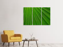 Laden Sie das Bild in den Galerie-Viewer, Leinwandbild 3-teilig Palm Streifen 1