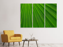 Laden Sie das Bild in den Galerie-Viewer, Leinwandbild 3-teilig Palm Streifen 1
