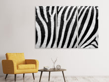 Laden Sie das Bild in den Galerie-Viewer, Leinwandbild 3-teilig Streifen vom Zebra