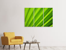 Laden Sie das Bild in den Galerie-Viewer, Leinwandbild 3-teilig Palm Streifen 2