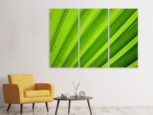 Laden Sie das Bild in den Galerie-Viewer, Leinwandbild 3-teilig Palm Streifen 2