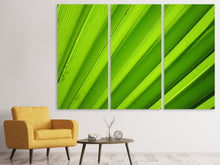 Laden Sie das Bild in den Galerie-Viewer, Leinwandbild 3-teilig Palm Streifen 2