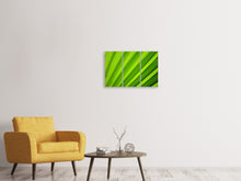 Laden Sie das Bild in den Galerie-Viewer, Leinwandbild 3-teilig Palm Streifen 2