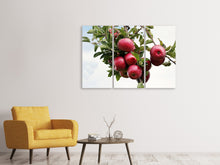 Laden Sie das Bild in den Galerie-Viewer, Leinwandbild 3-teilig Close up Apfelbaum
