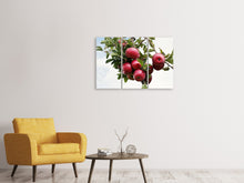 Laden Sie das Bild in den Galerie-Viewer, Leinwandbild 3-teilig Close up Apfelbaum