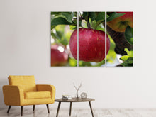 Laden Sie das Bild in den Galerie-Viewer, Leinwandbild 3-teilig Apfel in XXL