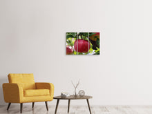 Laden Sie das Bild in den Galerie-Viewer, Leinwandbild 3-teilig Apfel in XXL