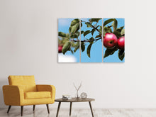 Laden Sie das Bild in den Galerie-Viewer, Leinwandbild 3-teilig Apfel am Baum