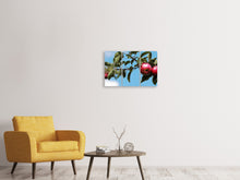 Laden Sie das Bild in den Galerie-Viewer, Leinwandbild 3-teilig Apfel am Baum