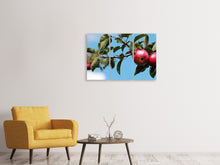 Laden Sie das Bild in den Galerie-Viewer, Leinwandbild 3-teilig Apfel am Baum