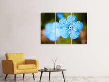 Laden Sie das Bild in den Galerie-Viewer, Leinwandbild 3-teilig Blaue Blume mit Morgentau