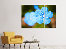 Laden Sie das Bild in den Galerie-Viewer, Leinwandbild 3-teilig Blaue Blume mit Morgentau