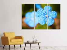 Laden Sie das Bild in den Galerie-Viewer, Leinwandbild 3-teilig Blaue Blume mit Morgentau