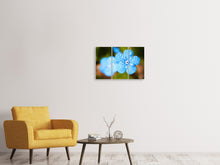 Laden Sie das Bild in den Galerie-Viewer, Leinwandbild 3-teilig Blaue Blume mit Morgentau
