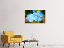 Laden Sie das Bild in den Galerie-Viewer, Leinwandbild 3-teilig Blaue Blume mit Morgentau