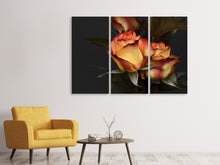 Laden Sie das Bild in den Galerie-Viewer, Leinwandbild 3-teilig Rosen der Romantik