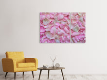 Laden Sie das Bild in den Galerie-Viewer, Leinwandbild 3-teilig Rosenblüten in rosa