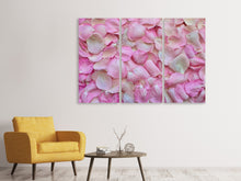 Laden Sie das Bild in den Galerie-Viewer, Leinwandbild 3-teilig Rosenblüten in rosa