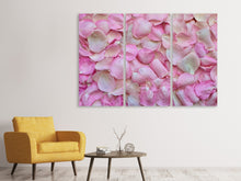 Laden Sie das Bild in den Galerie-Viewer, Leinwandbild 3-teilig Rosenblüten in rosa
