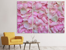 Laden Sie das Bild in den Galerie-Viewer, Leinwandbild 3-teilig Rosenblüten in rosa