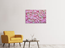 Laden Sie das Bild in den Galerie-Viewer, Leinwandbild 3-teilig Rosenblüten in rosa
