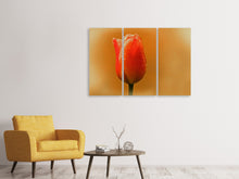 Laden Sie das Bild in den Galerie-Viewer, Leinwandbild 3-teilig Eine Tulpe im Morgentau