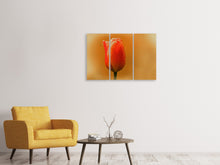 Laden Sie das Bild in den Galerie-Viewer, Leinwandbild 3-teilig Eine Tulpe im Morgentau