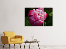 Laden Sie das Bild in den Galerie-Viewer, Leinwandbild 3-teilig Tulpe mit Morgentau in XL