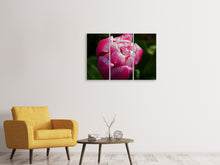 Laden Sie das Bild in den Galerie-Viewer, Leinwandbild 3-teilig Tulpe mit Morgentau in XL