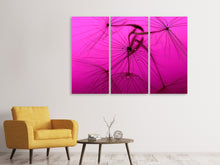 Laden Sie das Bild in den Galerie-Viewer, Leinwandbild 3-teilig Pusteblume in pink