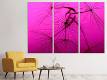 Laden Sie das Bild in den Galerie-Viewer, Leinwandbild 3-teilig Pusteblume in pink