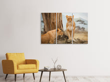 Laden Sie das Bild in den Galerie-Viewer, Leinwandbild 3-teilig Löwen in Afrika