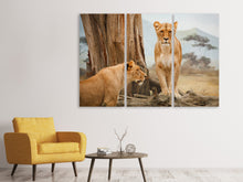 Laden Sie das Bild in den Galerie-Viewer, Leinwandbild 3-teilig Löwen in Afrika