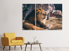 Laden Sie das Bild in den Galerie-Viewer, Leinwandbild 3-teilig Löwe sonnt sich