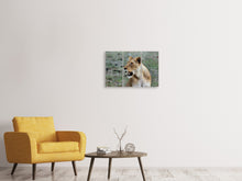 Laden Sie das Bild in den Galerie-Viewer, Leinwandbild 3-teilig Prächtige Löwin