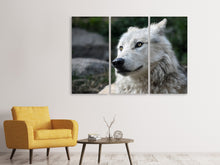 Laden Sie das Bild in den Galerie-Viewer, Leinwandbild 3-teilig Der einsame Wolf