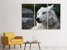 Laden Sie das Bild in den Galerie-Viewer, Leinwandbild 3-teilig Der einsame Wolf