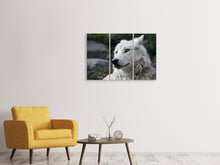 Laden Sie das Bild in den Galerie-Viewer, Leinwandbild 3-teilig Der einsame Wolf