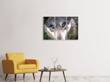 Laden Sie das Bild in den Galerie-Viewer, Leinwandbild 3-teilig Der Wolfs Blick