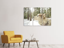 Laden Sie das Bild in den Galerie-Viewer, Leinwandbild 3-teilig Der Alaskan Malamute