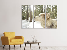 Laden Sie das Bild in den Galerie-Viewer, Leinwandbild 3-teilig Der Alaskan Malamute