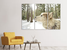 Laden Sie das Bild in den Galerie-Viewer, Leinwandbild 3-teilig Der Alaskan Malamute