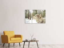 Laden Sie das Bild in den Galerie-Viewer, Leinwandbild 3-teilig Der Alaskan Malamute