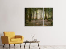 Laden Sie das Bild in den Galerie-Viewer, Leinwandbild 3-teilig Wald Lauf
