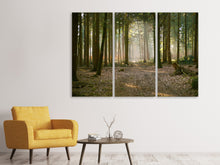Laden Sie das Bild in den Galerie-Viewer, Leinwandbild 3-teilig Wald Lauf