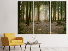 Laden Sie das Bild in den Galerie-Viewer, Leinwandbild 3-teilig Wald Lauf